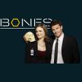 bones-e3.png