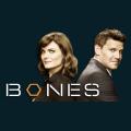 bones-e4.png