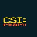 csi-miami.png