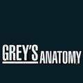 greys-anatomy-a1.png