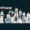 greys-anatomy-a3.png