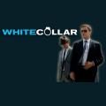 white-collar-2.png