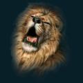 CatMist-Lion.png