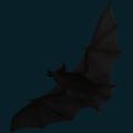 bat-039.png