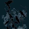 bird-008.png
