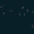bird-023.png