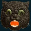 cat-073.png