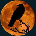 moon-010.png