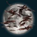 moon-012.png