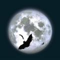moon-019.png
