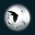 moon-020.png