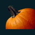 pumpkin-042.png