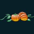 pumpkin-051.png