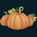 pumpkin-054.png