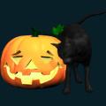 pumpkin-057.png