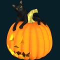 pumpkin-061.png
