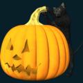 pumpkin-063.png