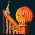 pumpkin-064.png