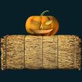 pumpkin-122.png