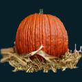 pumpkin-125.png