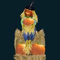 scarecrow-048.png