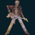 skeleton-001.png