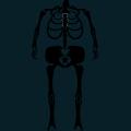skeleton-010.png