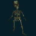skeleton-039.png