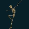 skeleton-051.png
