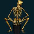skeleton-052.png
