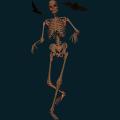 skeleton-053.png