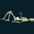 skeleton-055.png