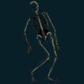 skeleton-059.png