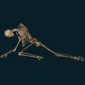 skeleton-062.png