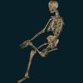skeleton-065.png