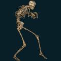 skeleton-071.png