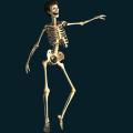 skeleton-091.png