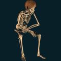 skeleton-093.png
