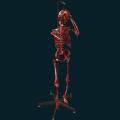 skeleton-098.png