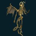 skeleton-122.png