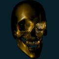 skull-039.png