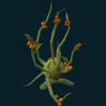 tree-057.png