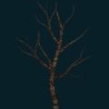 tree-077.png