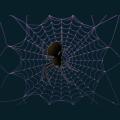 web-021.png