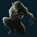 werewolf-009.png