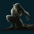 werewolf-012.png