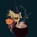 witch-069.png