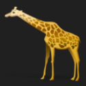 animals-zoo-giraffe_128.png