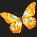 pretty-butterfly_orange-128.png