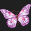 pretty-butterfly_purple-128.png